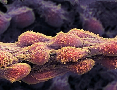 Омоложение