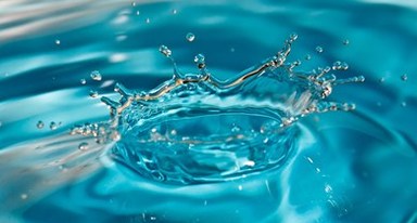 Вода и наш организм