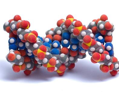 Аминокислоты