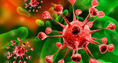 Основы паразитарии