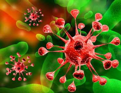 Основы паразитарии